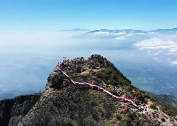 Ilustrasi jalur pendakian Gunung Arjuno. Foto: Dok. Tahura Raden Soerjo
