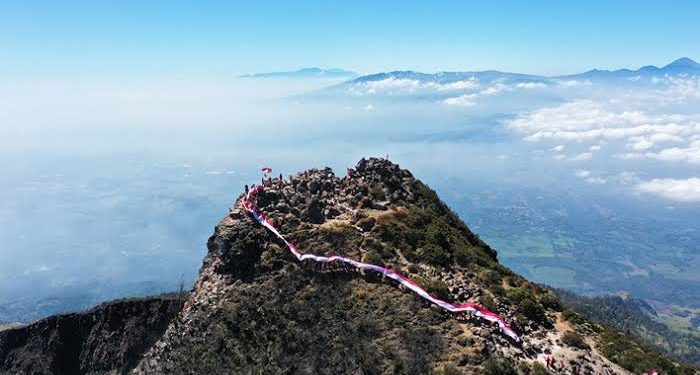 Ilustrasi jalur pendakian Gunung Arjuno. Foto: Dok. Tahura Raden Soerjo