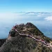 Ilustrasi jalur pendakian Gunung Arjuno. Foto: Dok. Tahura Raden Soerjo