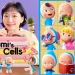 Yumi’s Cells, Drama Korea Seru yang Menggambarkan Cara Kerja Sel Otak Manusia (Foto: Pinterest)