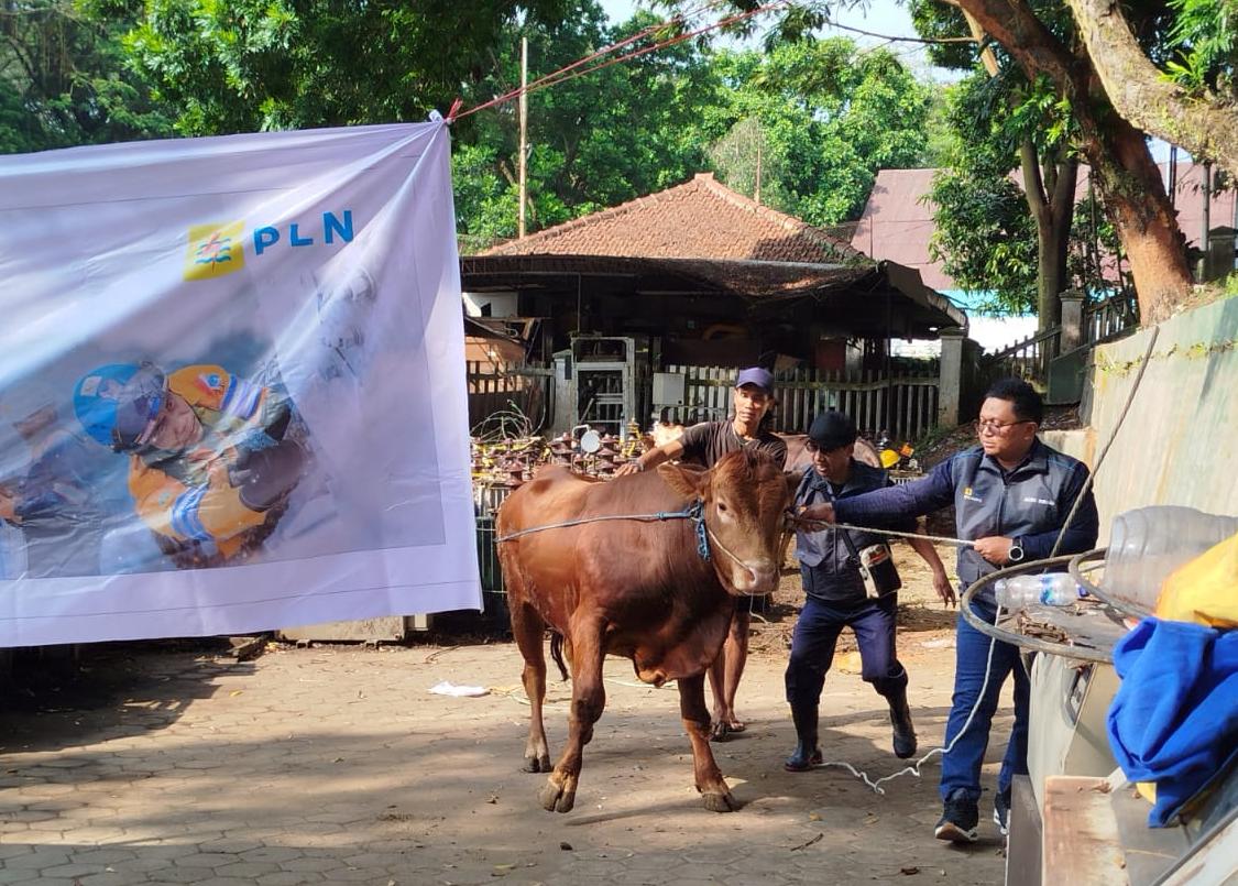 Manager PLN UP3 Malang, Agung Wibowo dalam kegiatan penyembelihan hewan qurban Idul Adha 2026. (Foto/M Sholeh)