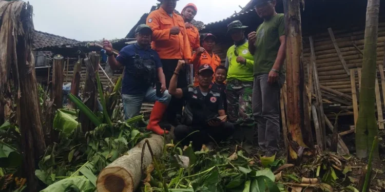 Petugas berhasil mengevakuasi dan membersihkan material pohon tumbang. Foto: BPBD Kabupaten Malang