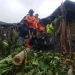 Petugas berhasil mengevakuasi dan membersihkan material pohon tumbang. Foto: BPBD Kabupaten Malang