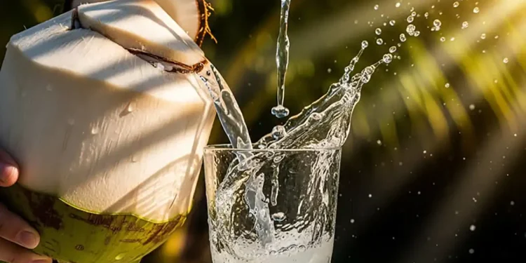 Air kelapa