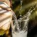Air kelapa