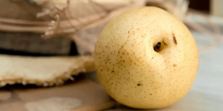 Buah Pir