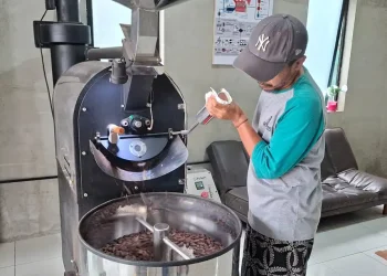 Kakao Kabupaten Malang