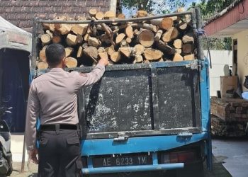 Polisi sita truk bermuatan kayu hasil pembalakan di hutan Malang selatan. Foto: Polres Malang