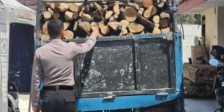 Polisi sita truk bermuatan kayu hasil pembalakan di hutan Malang selatan. Foto: Polres Malang