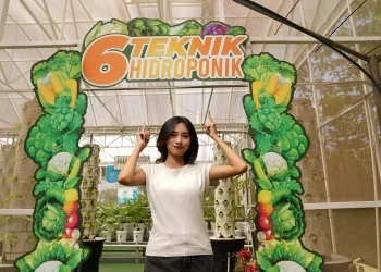 Kegiatan edukasi wisata hidroponik di Batu Love Garden. Foto: Dok