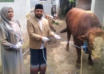 Plt Wali Kota Batu Heli Suyanto saat menyerahkan sapi jumbo di Dusun Brau. Foto: Azmy