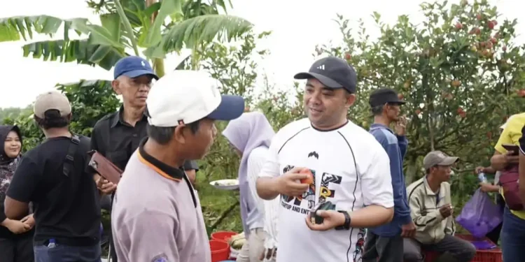 Lahan Apel kota Batu