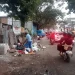 Wawali Kota Malang