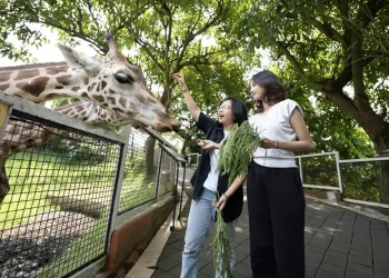 Batu Secret Zoo Jatim Park 2.