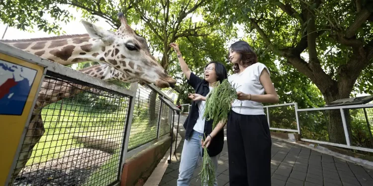 Batu Secret Zoo Jatim Park 2.