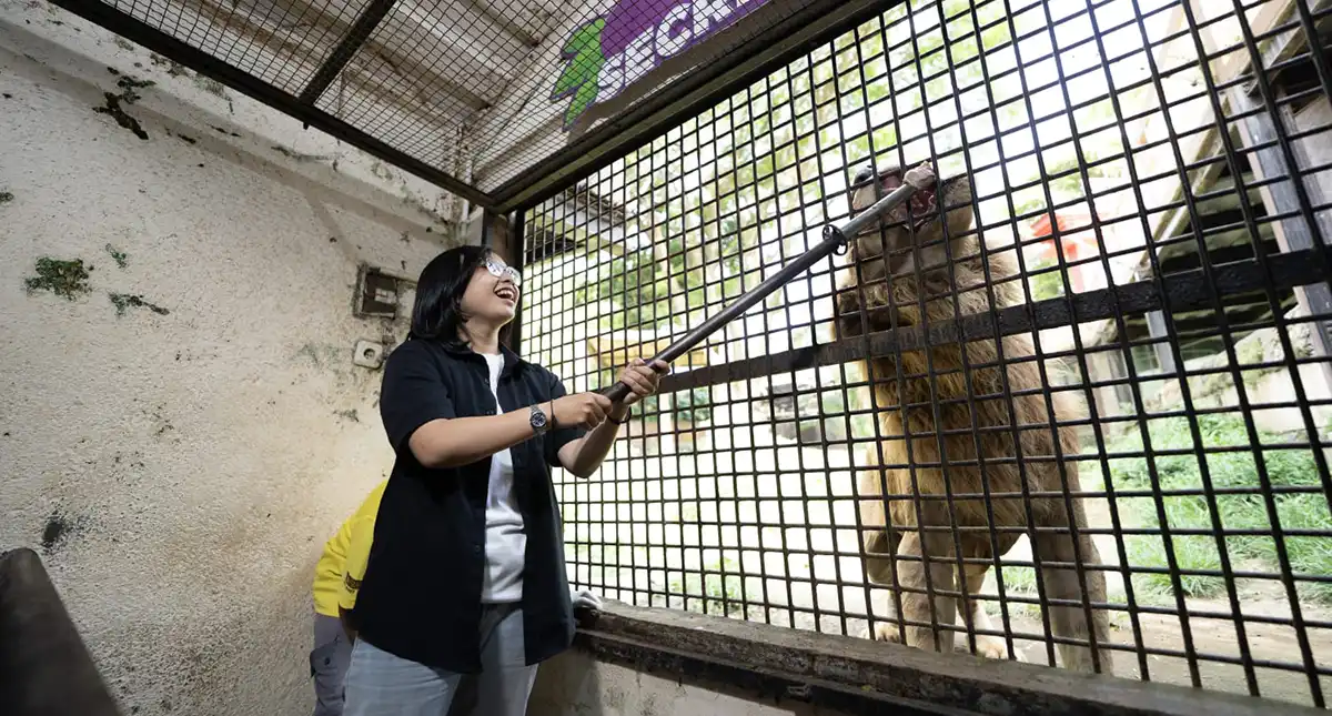 Batu Secret Zoo Jatim Park 2.