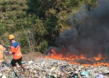 Ilustrasi karhutla di Kota Batu. Foto: BPBD Kota Batu