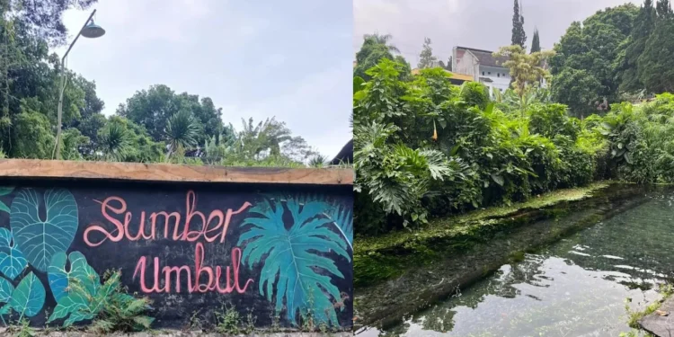 Sumber Umbul, Salah Satu Wisata Tersembungi di Malang Raya (Foto: Google Maps)