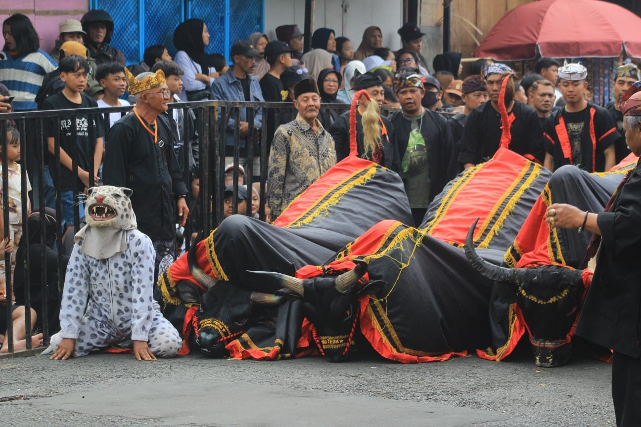 Tradisi Ngarak Banteng 1 Suro Mpu Supo menjadi daftar itinerary wisata yang tak boleh dilewatkan. Foto: Dok.