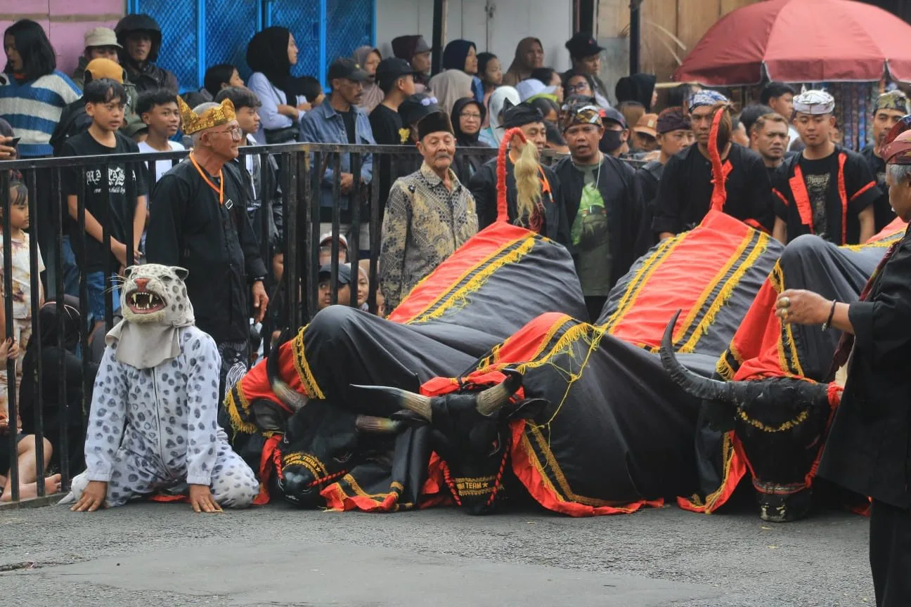 Tradisi Ngarak Banteng 1 Suro Mpu Supo menjadi daftar itinerary wisata yang tak boleh dilewatkan. Foto: Dok.