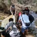 Evakuasi lansia yang terjatuh di sungai Pakis. Foto: Polres Malang