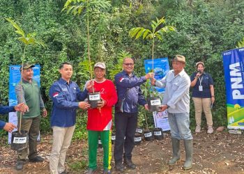 Program PNM Peduli menanam pohon. Foto/dok