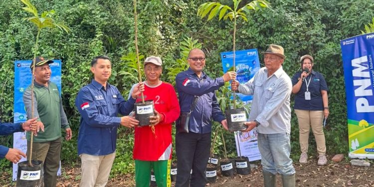Program PNM Peduli menanam pohon. Foto/dok