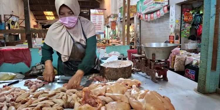 Penjual ayam di Pasar Kepanjen, Tunik. Foto: Aisyah Nawangsari Putri
