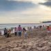 Libur Sekolah Semakin Seru! 5 Pantai Ramah Anak di Malang yang Wajib Masuk List Wisata