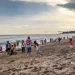Pantai Ramah Anak di Malang,Wisata Pantai Malang,Kabupaten Malang,Libur Sekolah - Libur Sekolah Semakin Seru! 5 Pantai Ramah Anak di Malang yang Wajib Masuk List Wisata
