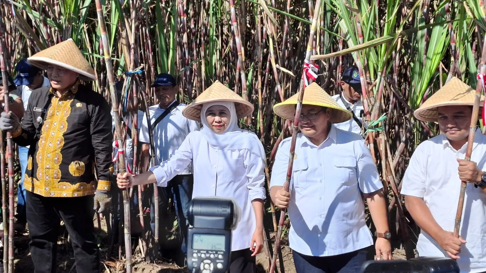 Gubernur Jawa Timur, Khofifah Indar Parawansa (dua dari kiri) menunjukkan tebu yang ia panen di Kecamatan Gondanglegi, Kabupaten Malang. Foto: Aisyah Nawangsari Putri