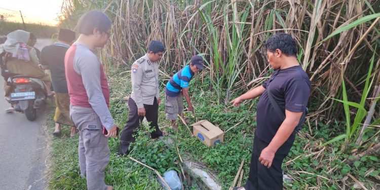 Lokasi penemuan jenazah bayi perempuan di Gondanglegi. Foto: Polres Malang