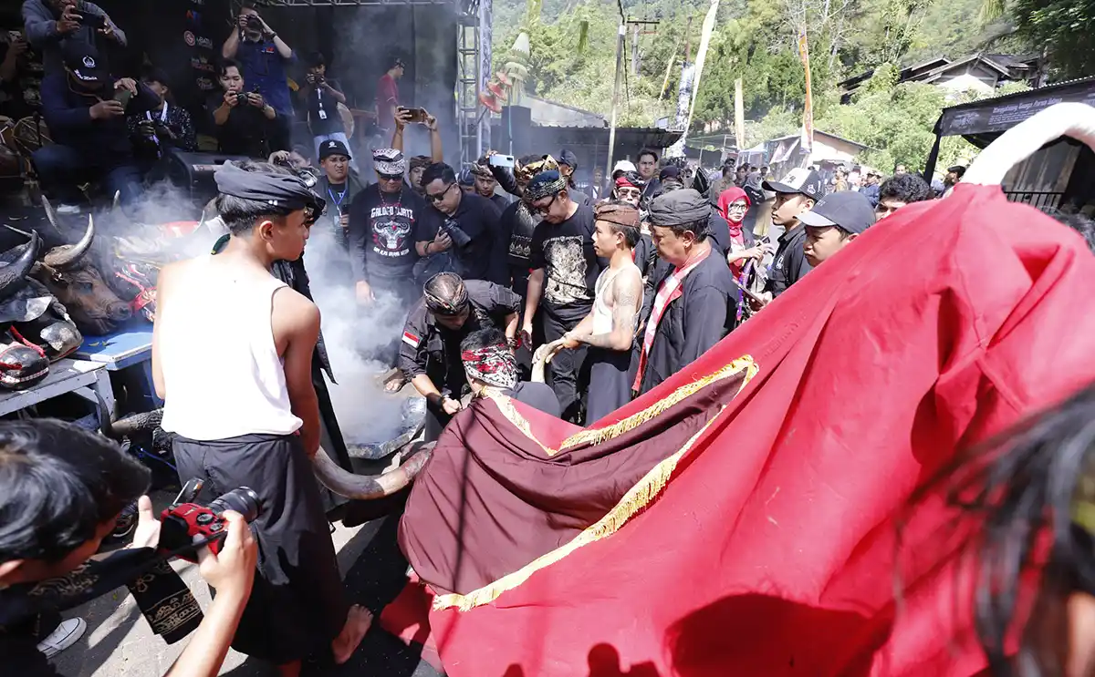 Kirab budaya ngarak banteng
