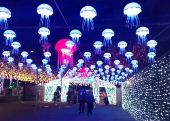 Lights Wonderland Malang