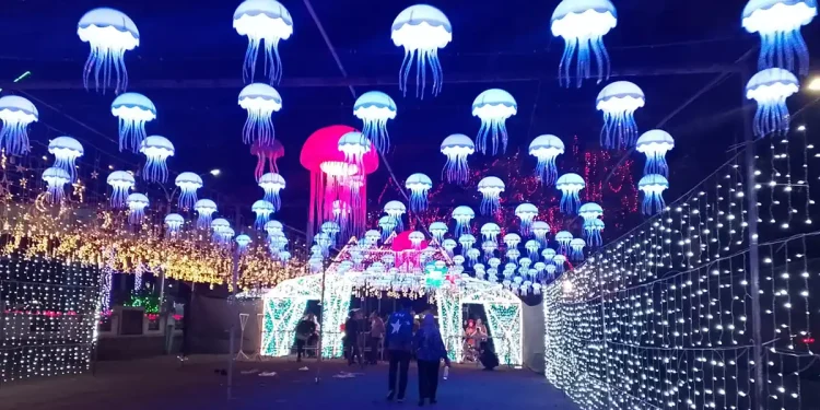 Lights Wonderland Malang