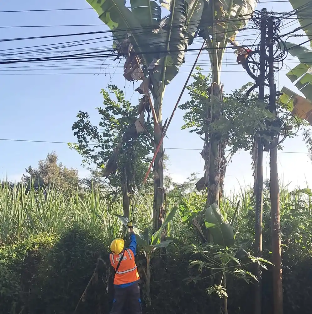 PLN UP3 Malang