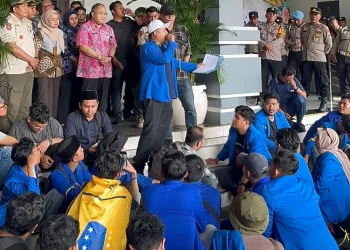 Ruang hijau