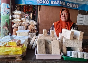 Ukuran tempe