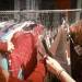 3 Alasan Generasi Muda Memilih Belanja Thrifting 