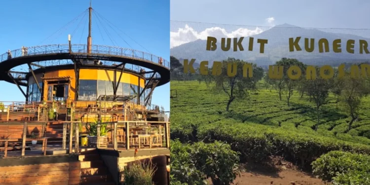 6 Kecamatan di Kabupaten Malang dengan Destinasi Wisata Terbanyak, dari Bromo hingga Pantai Selatan