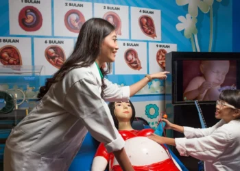 Belajar Biologi Makin Seru: Zona Aktivitas Museum Tubuh Hadirkan Simulasi Interaktif untuk Keluarga