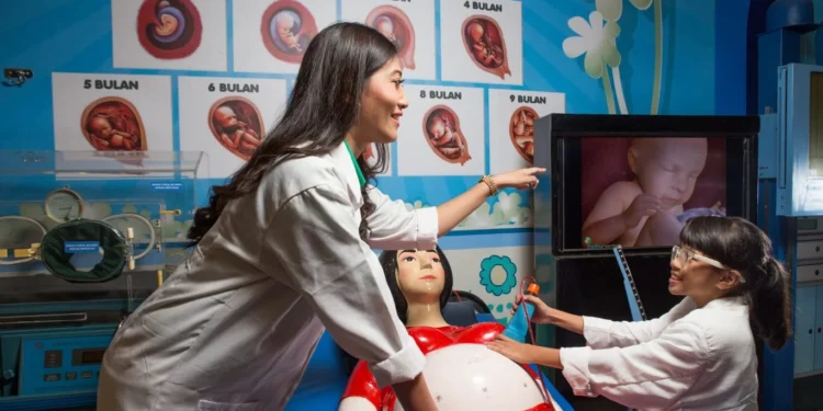 Belajar Biologi Makin Seru: Zona Aktivitas Museum Tubuh Hadirkan Simulasi Interaktif untuk Keluarga