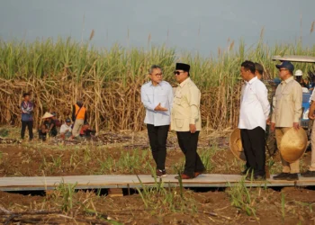 Capaian PLN: PLN UP3 Malang Berhasil Amankan Pasokan Listrik Tanpa Kedip Kunjungan Kerja Presiden RI Prabowo Subianto