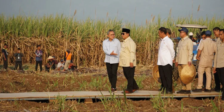 Capaian PLN: PLN UP3 Malang Berhasil Amankan Pasokan Listrik Tanpa Kedip Kunjungan Kerja Presiden RI Prabowo Subianto