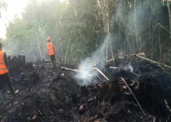Diduga Dipicu Bakar Sampah, Kebakaran Hanguskan 0,5 Hektare Lahan Bambu di Batu