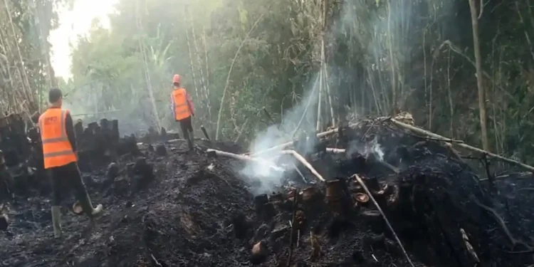 Diduga Dipicu Bakar Sampah, Kebakaran Hanguskan 0,5 Hektare Lahan Bambu di Batu