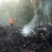 Diduga Dipicu Bakar Sampah, Kebakaran Hanguskan 0,5 Hektare Lahan Bambu di Batu