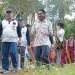 Hari Anak Nasional, Unikama Ajak Siswa SD Lepas Tukik dan Tanam Mangrove di Pantai Bajulmati