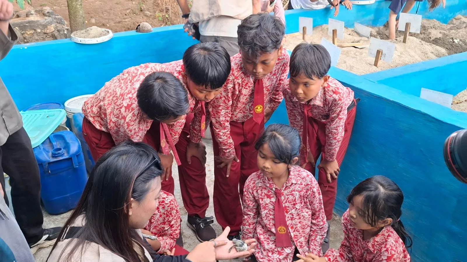 Lepas Tukik,Unikama,hari anak nasional - Hari Anak Nasional, Unikama Ajak Siswa SD Lepas Tukik dan Tanam Mangrove di Pantai Bajulmati