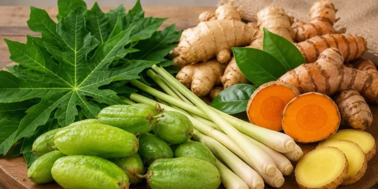 Jahe hingga Belimbing Wuluh, Tanaman Dapur dengan Manfaat bagi Kesehatan